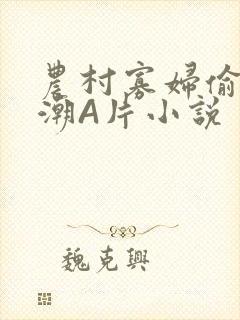 农村寡妇偷人高潮A片小说