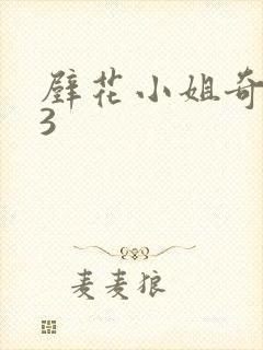 壁花小姐奇遇记3