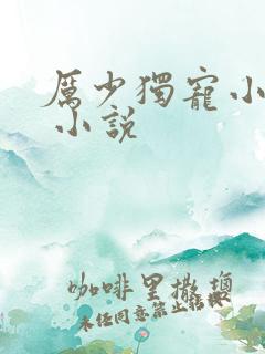 厉少独宠小娇妻 小说