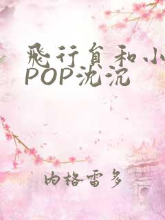 飞行员和小空乘POP沈沉