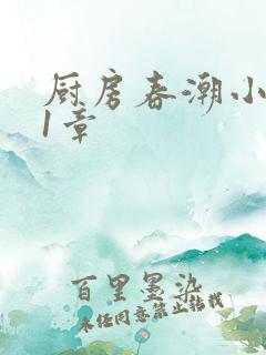 厨房春潮小说第1章