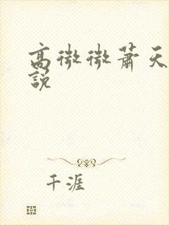 高微微萧天策小说