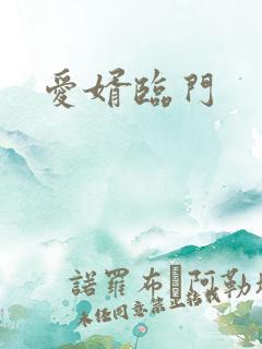 爱婿临门