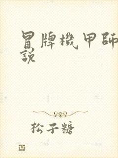 冒牌机甲师 小说