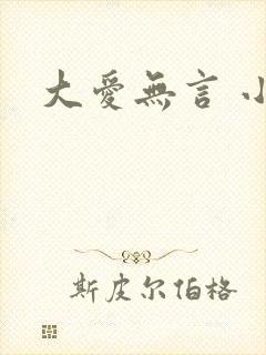 大爱无言 小说