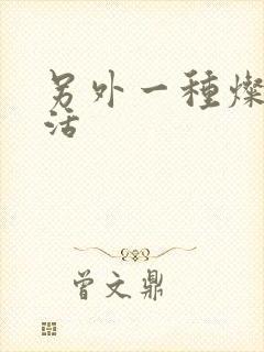 另外一种灿烂生活