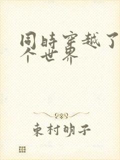 同时穿越了99个世界