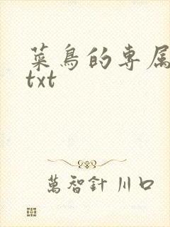 菜鸟的专属大神txt