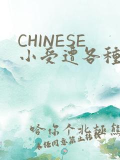 CHINESE小受遭各种打桩