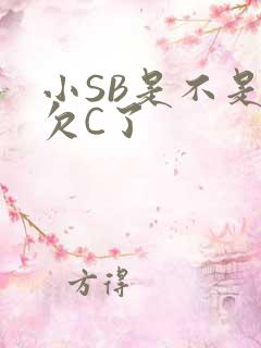 小SB是不是又欠C了