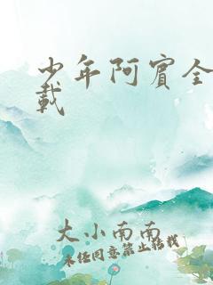 少年阿宾全集下载