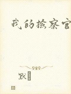 我的检察官先生