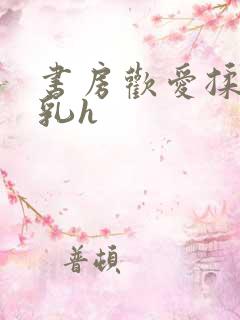 书房欢爱揉捏娇乳h