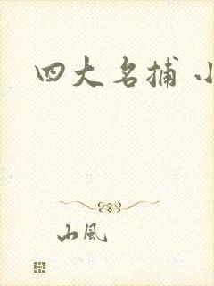 四大名捕 小说