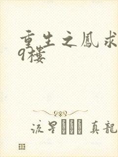 重生之凤求凰19楼