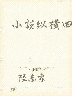 小说纵横四海