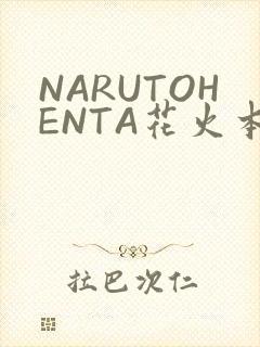 NARUTOHENTA花火本子