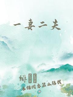 一妻二夫