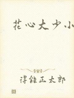 花心大少小说