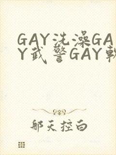 GAY洗澡GAY武警GAY软件