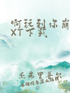 啊玩到你崩溃TXT下载