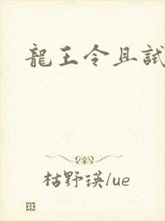 龙王令且试天下