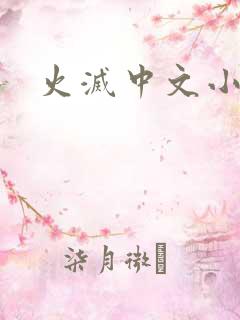 火灭中文小说
