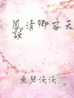 凤清卿容天凌小说
