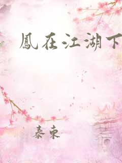 凤在江湖下载