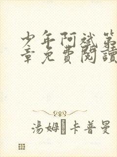 少年阿斌第13章免费阅读