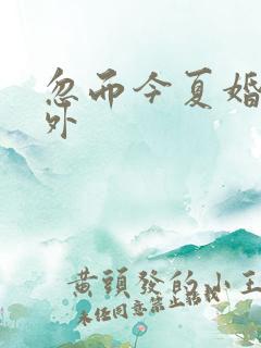忽而今夏婚后番外