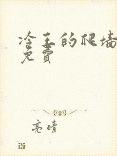 冷王的爬墙丑妃免费