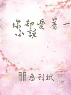 你却爱着一个他 小说