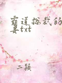 霸道总裁的挂名妻txt