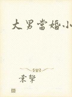 大男当婚小说