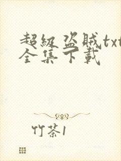 超级盗贼txt全集下载