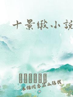 十景缎小说