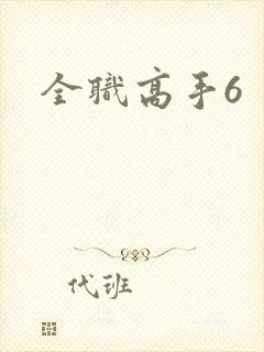 全职高手6