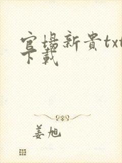 官场新贵txt下载