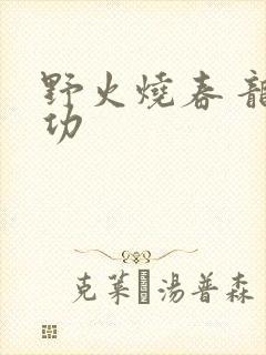 野火烧春 龙鸣功