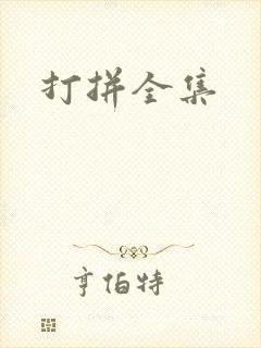打拼全集