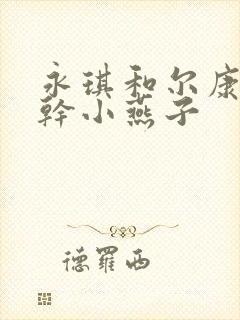 永琪和尔康一起干小燕子