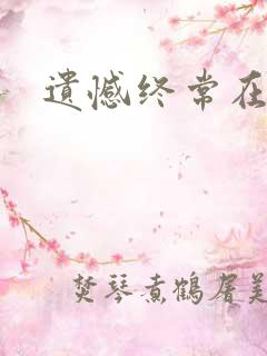 遗憾终常在小说