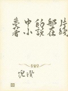 梦中的那片海原著小说在线阅读