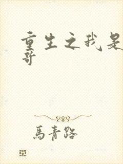 重生之我是大帅哥