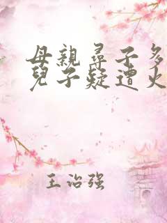 母亲寻子多年 儿子疑遭火车撞击身亡