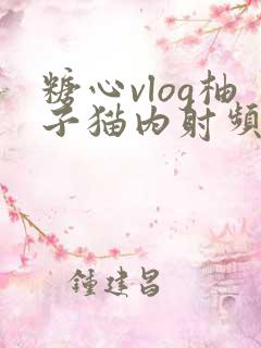 糖心vlog柚子猫内射频