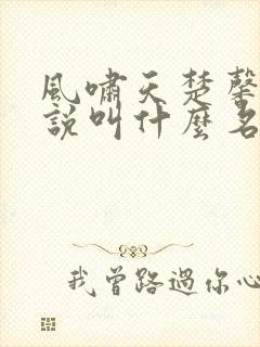 风啸天楚馨月小说叫什么名字