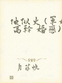 他似火 (军婚 高干 婚恋)