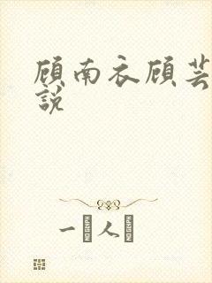 顾南衣顾芸沐小说